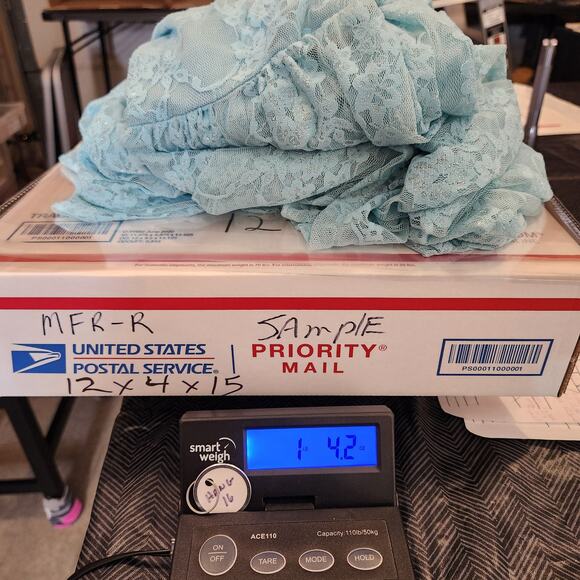 PINK BLUSH Aqua Sheer Lace Photo Shoot Off Shoulder Maternity Small S FLAWED - Picture 7 of 7